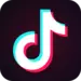 TikTok icon